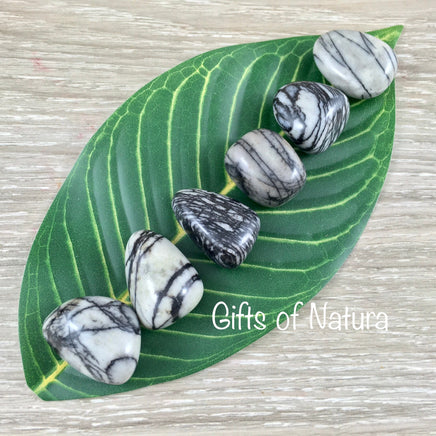 Picasso Marble (Net Jasper) - Tumbled, No Dyes, Natural - 0.75" - 1" - *Stimulates Resilience*, *CALMING*, *Find Purpose* - Reiki Healing