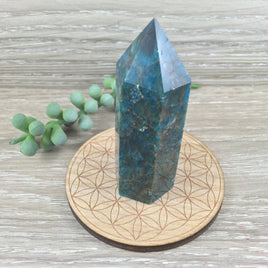 3" Blue Apatite Obelisk - Natural, No Dyes, Smooth, Polished - *DREAM STONE* - * KNOWLEDGE *- Reiki Healing