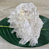 4.75" Clear Quartz Cluster on Matrix - Many Many Points! Rough, Unpolished, Natural - *Stone of Light" - Reiki Energy
