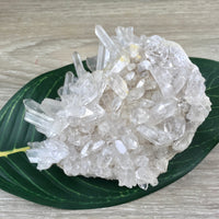 4.75" Clear Quartz Cluster on Matrix - Many Many Points! Rough, Unpolished, Natural - *Stone of Light" - Reiki Energy