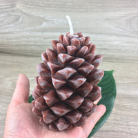 Ponderosa Pine Cone Candle - 100% Pure Beeswax Honey - Handcrafted Western Canada - Bee Friendly - 25 to 30 hours Burn time