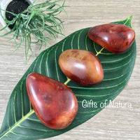 BIG Carnelian Palm Stone - 2"+  Vibrant!  Smooth, Polished, No Dyes! Natural Colors - *COURAGE* - *CONFIDENCE* - Reiki Energy