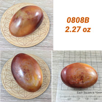 BIG Carnelian Palm Stone - 2"+  Vibrant!  Smooth, Polished, No Dyes! Natural Colors - *COURAGE* - *CONFIDENCE* - Reiki Energy