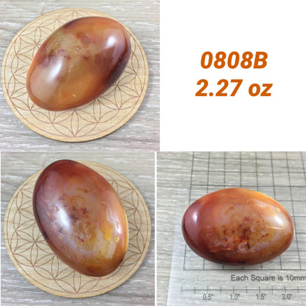 BIG Carnelian Palm Stone - 2"+  Vibrant!  Smooth, Polished, No Dyes! Natural Colors - *COURAGE* - *CONFIDENCE* - Reiki Energy