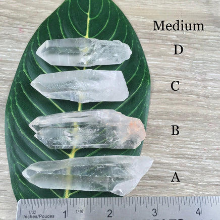 Lemurian Seed Crystal - YOU PICK - Raw, Unpolished, Amazing Energy - *Silver Light* - *Connection with Divine Feminine"