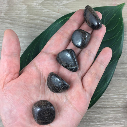 Garnet - Tumbled, Semi-Polished - *STRENGTH* - *SECURTIY* - Reiki Healing