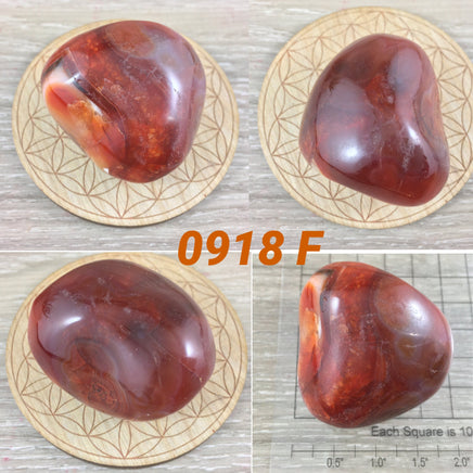 BIG Carnelian Palm Stone / Massage Stone - Premium Quality!  - Polished Crystal - *COURAGE* - *CONFIDENCE* - Reiki Energy