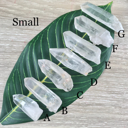 Lemurian Seed Crystal - YOU PICK - Raw, Unpolished, Amazing Energy - *Silver Light* - *Connection with Divine Feminine"