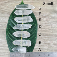 Lemurian Seed Crystal - YOU PICK - Raw, Unpolished, Amazing Energy - *Silver Light* - *Connection with Divine Feminine"