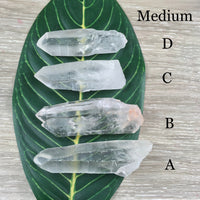 Lemurian Seed Crystal - YOU PICK - Raw, Unpolished, Amazing Energy - *Silver Light* - *Connection with Divine Feminine"