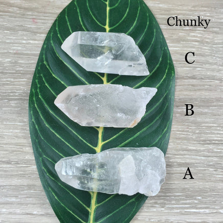 Lemurian Seed Crystal - YOU PICK - Raw, Unpolished, Amazing Energy - *Silver Light* - *Connection with Divine Feminine"