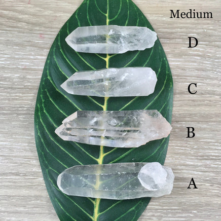 Lemurian Seed Crystal - YOU PICK - Raw, Unpolished, Amazing Energy - *Silver Light* - *Connection with Divine Feminine"