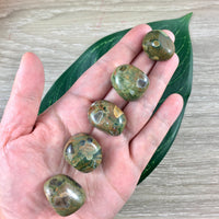 Rhyolite (Rain Forest Jasper) Tumbled Stones -  Smooth, Natural, No Dyes - *Earth Healing* - *Joy in Life* - Reiki Healing
