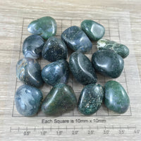 Moss Agate Tumbled Stone - Smooth, Polished, Natural, No Dyes - *Connect with Nature" - "Reduce Sensitivity" - Reiki Healing