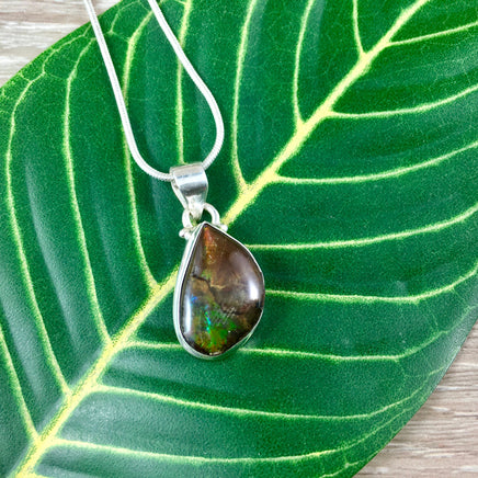 Natural Ammolite Pendant - 925 Sterling Silver - Gorgeous!  Lovely Colors - *PERFECTION* - *WISDOM* - *KNOWLEDGE* - Reiki Energy