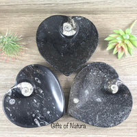 Marine Fossil Ammonite Heart Dish - YOU PICK - Crystal Holder - *Harmony* - *Positive Motion* - *Change*