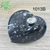 Marine Fossil Ammonite Heart Dish - YOU PICK - Crystal Holder - *Harmony* - *Positive Motion* - *Change*