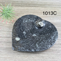 Marine Fossil Ammonite Heart Dish - YOU PICK - Crystal Holder - *Harmony* - *Positive Motion* - *Change*