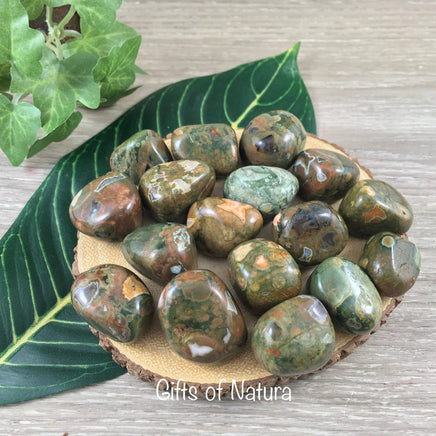 Rhyolite (Rain Forest Jasper) Tumbled Stones -  Smooth, Natural, No Dyes - *Earth Healing* - *Joy in Life* - Reiki Healing