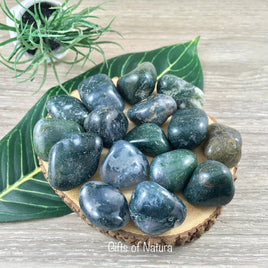Moss Agate Tumbled Stone - Smooth, Polished, Natural, No Dyes - *Connect with Nature" - "Reduce Sensitivity" - Reiki Healing