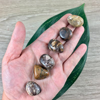 Bamboo Leaf Agate Tumbled Stone - Smooth, Polished, Natural, No Dyes - *Connect with Nature" - *Enjoy Life & Life* - Reiki Healing