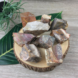 Petrified Wood - Natural, Rough, Ra, No Dyes - *STEADY* - *GROWTH* - *PATIENCE* - *Past Life Recall*