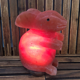 9" Big Rabbit - EXACT PIECE - Himalayan Salt Lamp with CSA approved cord & light bulb - Nature's Ionizer - Excellent Gift