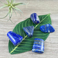 HIGH GRADE Lapis Lazuli - You Pick - Tumbled, Smooth, Polished - *Royal Virtues* - *Truthful Communication* - *Inner Vision*