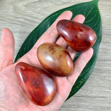 BIG Carnelian Palm Stone - 2"+  Vibrant!  Smooth, Polished, No Dyes! Natural Colors - *COURAGE* - *CONFIDENCE* - Reiki Energy