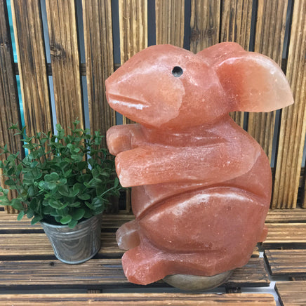 9" Big Rabbit - EXACT PIECE - Himalayan Salt Lamp with CSA approved cord & light bulb - Nature's Ionizer - Excellent Gift