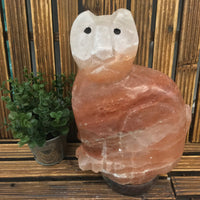 9" Nice Cat - EXACT PIECE - 2 tone - Dark Orange Himalayan Salt Lamp with CSA approved cord & light bulb - Nature's Ionizer - Excellent Gift