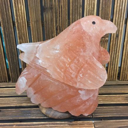9" Mighty Eagle - EXACT PIECE - Himalayan Salt Lamp with CSA approved cord & light bulb - Nature's Ionizer - Excellent Gift