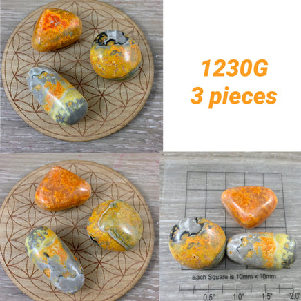 1 or 3 Pieces!  Bumble Bee Jasper Tumbled Stones - Pick Your Lot - *JOY* - *MANIFESTATION* - *CONFIDENCE* - Solar Plexus Chakra Crystal