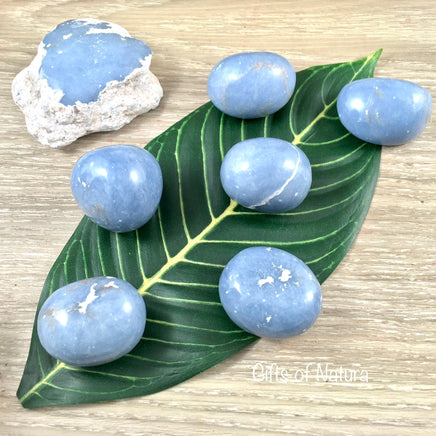 Large  Angelite Tumbled Stones /Crystals - Smooth, Polished - *Angelic Communication* - *Serenity* - *Expanded Self Awareness*
