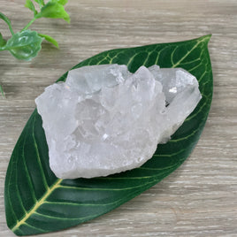 3.25" Clear Quartz Cluster on Matrix - Many Many Points! Rough, Unpolished, Natural - *Stone of Light" - Reiki Energy