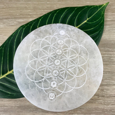 Selenite Incense Holder | Crystals Charging / Display Plate - 3 Designs - Smooth, Polished - "Spiritual Activation" - Reiki Healing