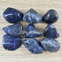 Sodalite (Large) - High Grade!  1.25"-1.75" Tumbled Crystal | Free Form - *INSIGHT* - *COMMUNICATION* - Reiki Healing