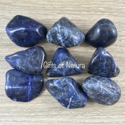 Sodalite (Large) - High Grade!  1.25"-1.75" Tumbled Crystal | Free Form - *INSIGHT* - *COMMUNICATION* - Reiki Healing