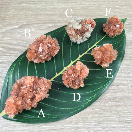 Dark Red Aragonite Star Cluster - YOU PICK!  Natural, Raw - *Balance Energy Fields* - *Emotional Healing* - *Renew Strength & Confidence*