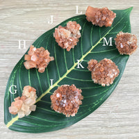 Dark Red Aragonite Star Cluster - YOU PICK!  Natural, Raw - *Balance Energy Fields* - *Emotional Healing* - *Renew Strength & Confidence*