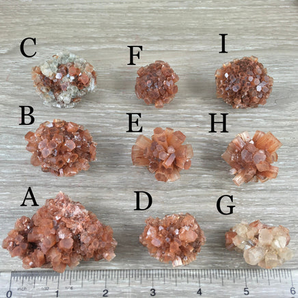 Dark Red Aragonite Star Cluster - YOU PICK!  Natural, Raw - *Balance Energy Fields* - *Emotional Healing* - *Renew Strength & Confidence*