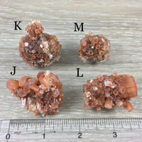 Dark Red Aragonite Star Cluster - YOU PICK!  Natural, Raw - *Balance Energy Fields* - *Emotional Healing* - *Renew Strength & Confidence*