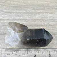 2.5" Smoky Quartz on Matrix - Natural, No Dyes - Semi Polished -  *GROUNDING* - *ORGANIZATION* - *Manifest Dreams & Inspirations*