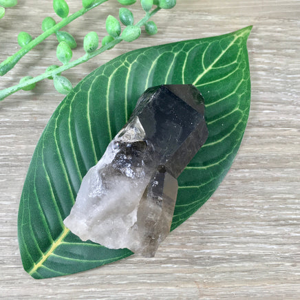 2.5" Smoky Quartz on Matrix - Natural, No Dyes - Semi Polished -  *GROUNDING* - *ORGANIZATION* - *Manifest Dreams & Inspirations*