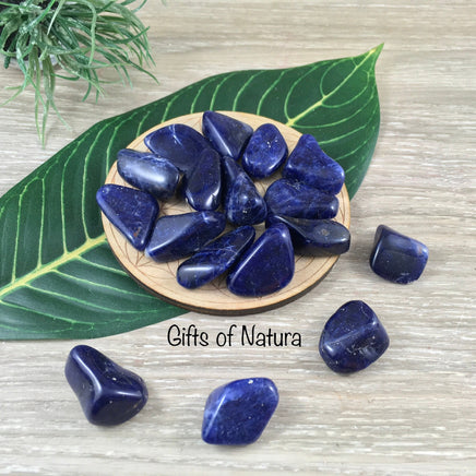 Dark Sodalite - High Grade! 0.75" to 1" Beautiful Polish - Tumbled Crystal | Free Form - *INSIGHT* - *COMMUNICATION* - Reiki Healing