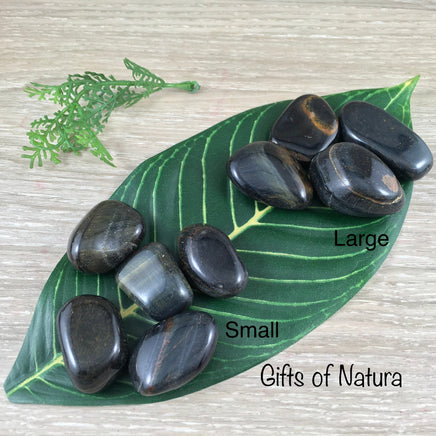 Blue Tiger Eye Tumbled Crystal 1.25"-1.75" - Natural, No Dyes - *Balance between Extremes" - "VITALITY" - *STRENGTH*