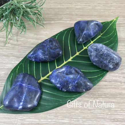 Sodalite (Large) - High Grade!  1.25"-1.75" Tumbled Crystal | Free Form - *INSIGHT* - *COMMUNICATION* - Reiki Healing