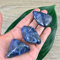 Sodalite (Large) - High Grade!  1.25"-1.75" Tumbled Crystal | Free Form - *INSIGHT* - *COMMUNICATION* - Reiki Healing