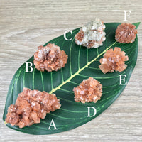 Dark Red Aragonite Star Cluster - YOU PICK!  Natural, Raw - *Balance Energy Fields* - *Emotional Healing* - *Renew Strength & Confidence*