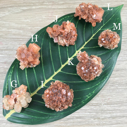 Dark Red Aragonite Star Cluster - YOU PICK!  Natural, Raw - *Balance Energy Fields* - *Emotional Healing* - *Renew Strength & Confidence*